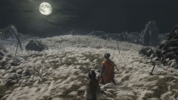 Sekiro Image2