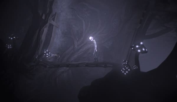 DARQ Image4